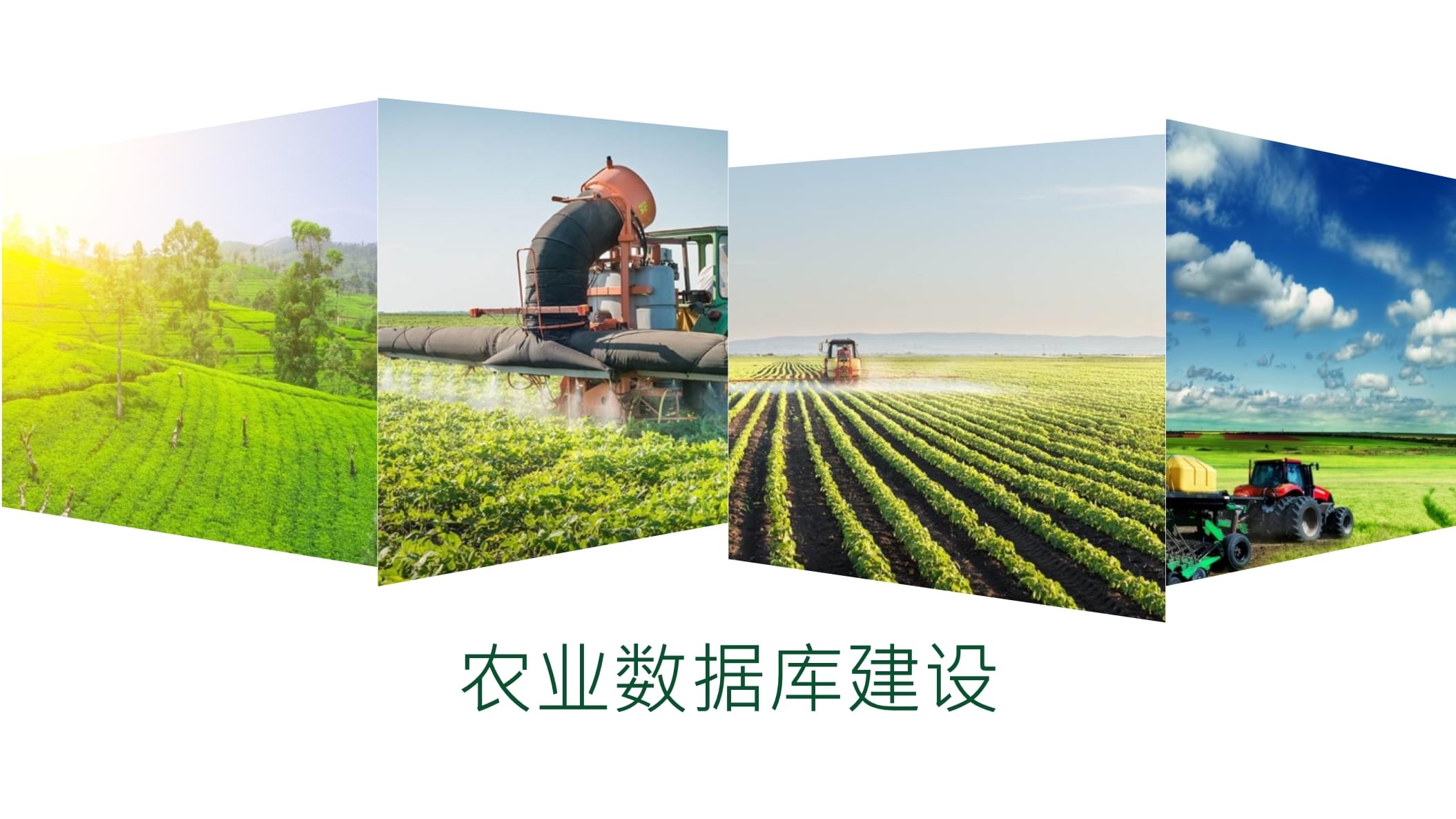 农业数据库系统-农业数据库建设