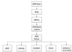 Oracle 11g R2 数据库 Dump Trace 日志文件的变化